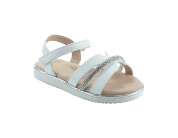 DSC06592-Photoroom-900x700